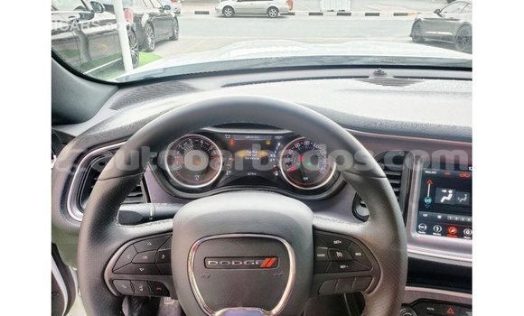 Buy Import Dodge Challenger White Car in Import - Dubai in Barbados Buy Import Dodge Challenger White Car in Import - Dubai in Barbados