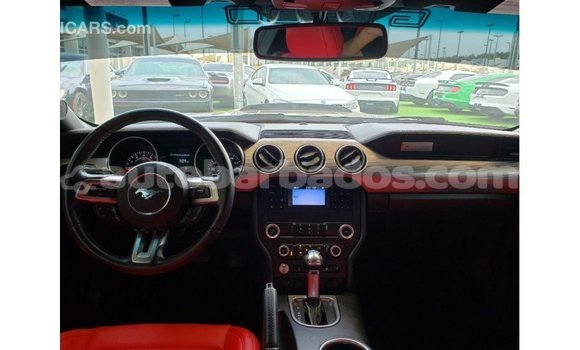Buy Import Ford Mustang Blue Car in Import - Dubai in Barbados Buy Import Ford Mustang Blue Car in Import - Dubai in Barbados
