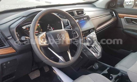 Buy Import Honda C Other Bike in Import - Dubai in Barbados Buy Import Honda C Other Bike in Import - Dubai in Barbados