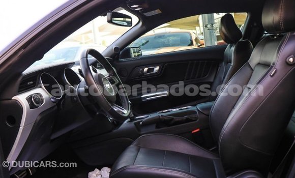 Buy Import Ford Mustang Black Car in Import - Dubai in Barbados Buy Import Ford Mustang Black Car in Import - Dubai in Barbados