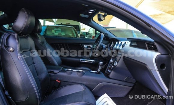 Buy Import Ford Mustang Black Car in Import - Dubai in Barbados Buy Import Ford Mustang Black Car in Import - Dubai in Barbados