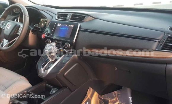 Buy Import Honda C Other Bike in Import - Dubai in Barbados Buy Import Honda C Other Bike in Import - Dubai in Barbados