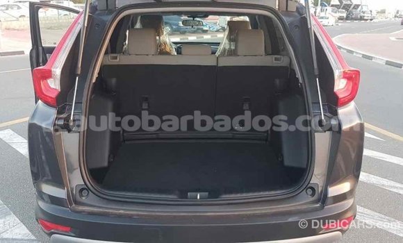 Buy Import Honda C Other Bike in Import - Dubai in Barbados Buy Import Honda C Other Bike in Import - Dubai in Barbados