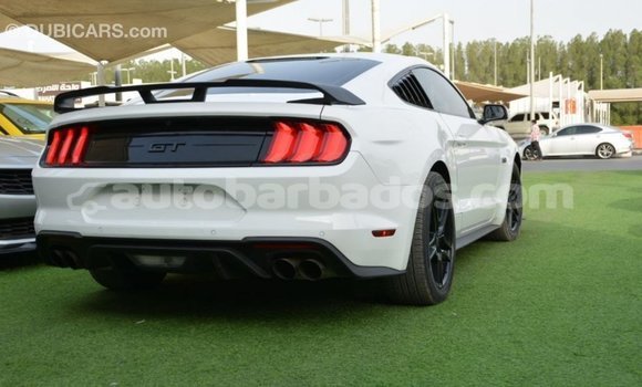 Buy Import Ford Mustang White Car in Import - Dubai in Barbados Buy Import Ford Mustang White Car in Import - Dubai in Barbados