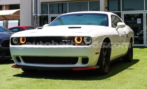Buy Import Dodge Challenger White Car in Import - Dubai in Barbados