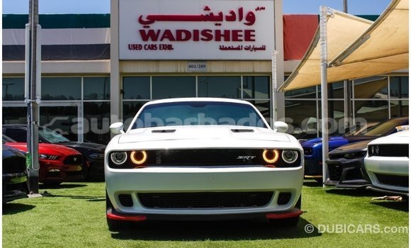 Buy Import Dodge Challenger White Car in Import - Dubai in Barbados Buy Import Dodge Challenger White Car in Import - Dubai in Barbados