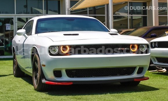 Buy Import Dodge Challenger White Car in Import - Dubai in Barbados Buy Import Dodge Challenger White Car in Import - Dubai in Barbados