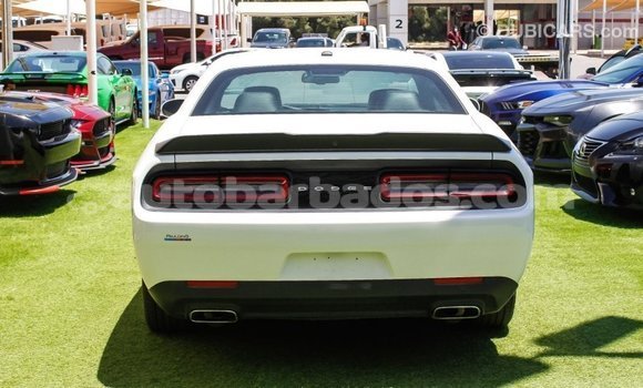 Buy Import Dodge Challenger White Car in Import - Dubai in Barbados Buy Import Dodge Challenger White Car in Import - Dubai in Barbados