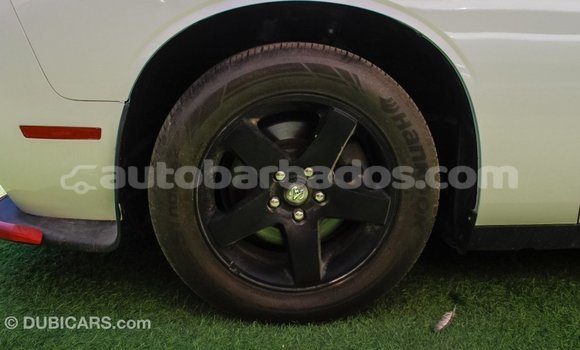 Buy Import Dodge Challenger White Car in Import - Dubai in Barbados Buy Import Dodge Challenger White Car in Import - Dubai in Barbados