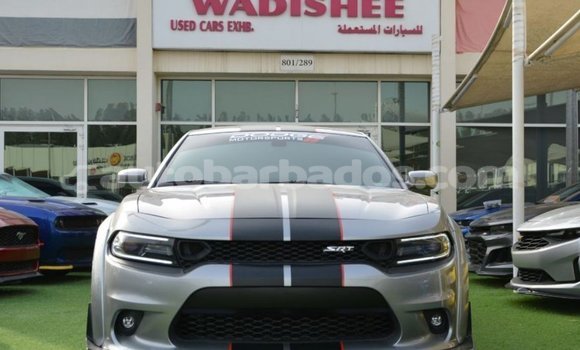 Buy Import Dodge Charger Other Car in Import - Dubai in Barbados