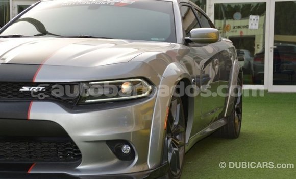 Buy Import Dodge Charger Other Car in Import - Dubai in Barbados Buy Import Dodge Charger Other Car in Import - Dubai in Barbados
