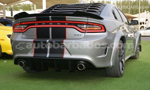 Buy Import Dodge Charger Other Car in Import - Dubai in Barbados Buy Import Dodge Charger Other Car in Import - Dubai in Barbados