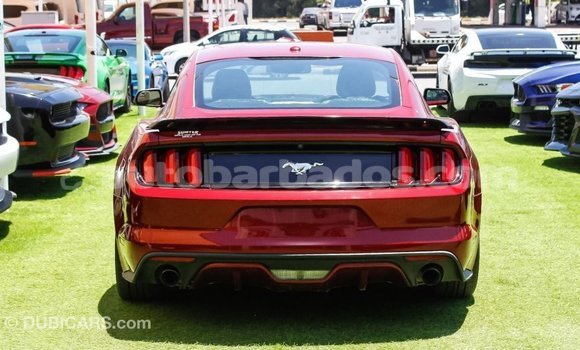 Buy Import Ford Mustang Red Car in Import - Dubai in Barbados Buy Import Ford Mustang Red Car in Import - Dubai in Barbados