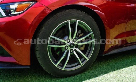 Buy Import Ford Mustang Red Car in Import - Dubai in Barbados Buy Import Ford Mustang Red Car in Import - Dubai in Barbados