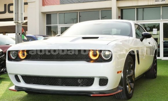 Buy Import Dodge Challenger White Car in Import - Dubai in Barbados