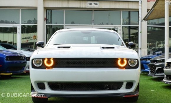 Buy Import Dodge Challenger White Car in Import - Dubai in Barbados Buy Import Dodge Challenger White Car in Import - Dubai in Barbados