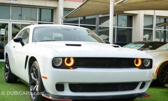 Buy Import Dodge Challenger White Car in Import - Dubai in Barbados Buy Import Dodge Challenger White Car in Import - Dubai in Barbados
