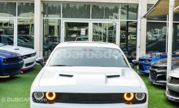 Buy Import Dodge Challenger White Car in Import - Dubai in Barbados Buy Import Dodge Challenger White Car in Import - Dubai in Barbados