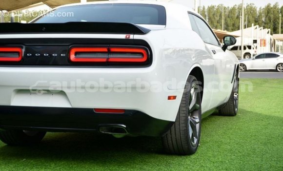 Buy Import Dodge Challenger White Car in Import - Dubai in Barbados Buy Import Dodge Challenger White Car in Import - Dubai in Barbados
