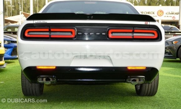 Buy Import Dodge Challenger White Car in Import - Dubai in Barbados Buy Import Dodge Challenger White Car in Import - Dubai in Barbados