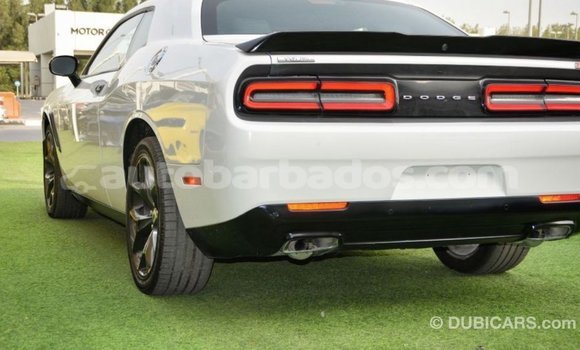 Buy Import Dodge Challenger White Car in Import - Dubai in Barbados Buy Import Dodge Challenger White Car in Import - Dubai in Barbados