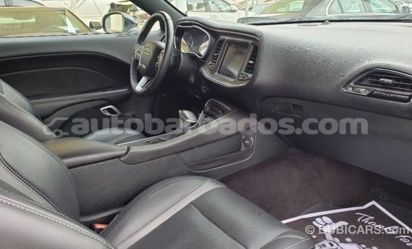 Buy Import Dodge Challenger White Car in Import - Dubai in Barbados Buy Import Dodge Challenger White Car in Import - Dubai in Barbados