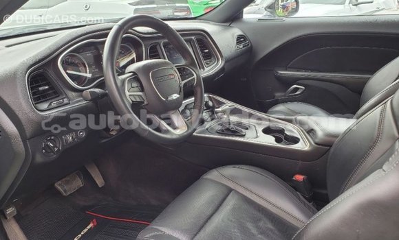 Buy Import Dodge Challenger White Car in Import - Dubai in Barbados Buy Import Dodge Challenger White Car in Import - Dubai in Barbados