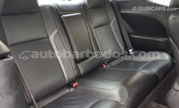Buy Import Dodge Challenger White Car in Import - Dubai in Barbados Buy Import Dodge Challenger White Car in Import - Dubai in Barbados