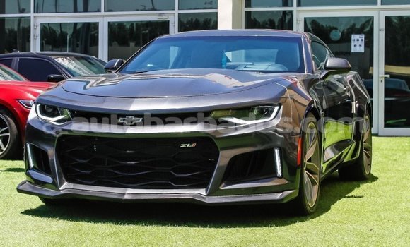 Buy Import Chevrolet Camaro Other Car in Import - Dubai in Barbados