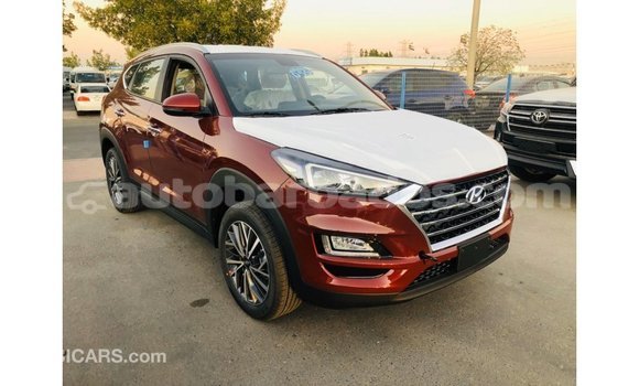 Buy Import Hyundai Tucson Other Car in Import - Dubai in Barbados Buy Import Hyundai Tucson Other Car in Import - Dubai in Barbados