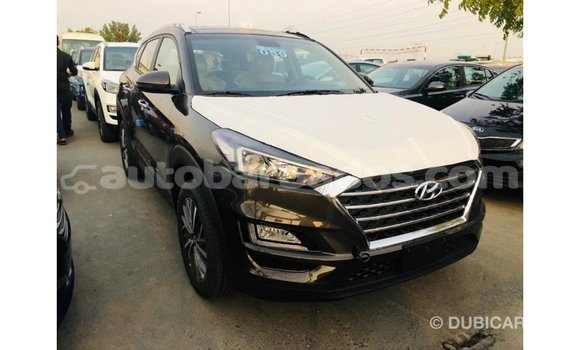 Buy Import Hyundai Tucson Brown Car in Import - Dubai in Barbados Buy Import Hyundai Tucson Brown Car in Import - Dubai in Barbados
