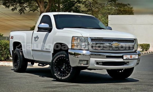 Buy Import Chevrolet Silverado White Car in Import - Dubai in Barbados Buy Import Chevrolet Silverado White Car in Import - Dubai in Barbados
