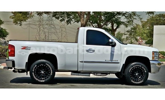 Buy Import Chevrolet Silverado White Car in Import - Dubai in Barbados Buy Import Chevrolet Silverado White Car in Import - Dubai in Barbados