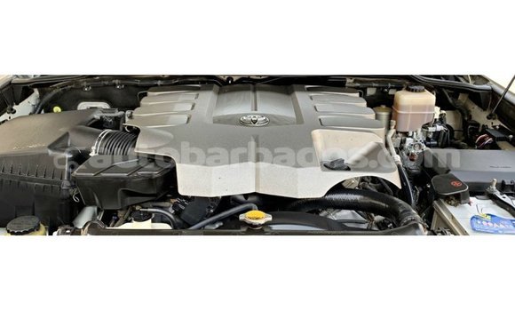 Buy Import Toyota Land Cruiser White Car in Import - Dubai in Barbados Buy Import Toyota Land Cruiser White Car in Import - Dubai in Barbados