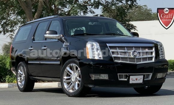 Buy Import Cadillac Escalade Black Car in Import - Dubai in Barbados