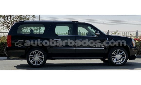 Buy Import Cadillac Escalade Black Car in Import - Dubai in Barbados Buy Import Cadillac Escalade Black Car in Import - Dubai in Barbados