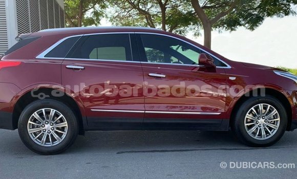 Buy Import Cadillac XT5 Red Car in Import - Dubai in Barbados Buy Import Cadillac XT5 Red Car in Import - Dubai in Barbados