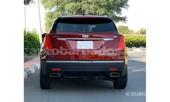 Buy Import Cadillac XT5 Red Car in Import - Dubai in Barbados Buy Import Cadillac XT5 Red Car in Import - Dubai in Barbados