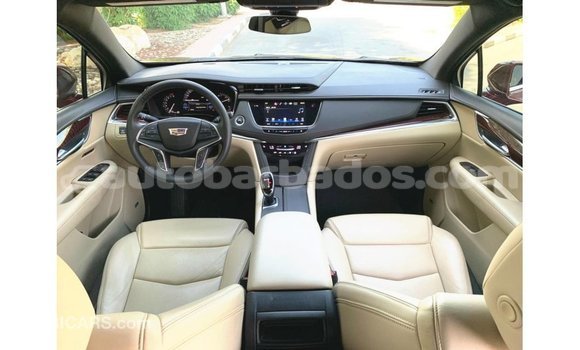 Buy Import Cadillac XT5 Red Car in Import - Dubai in Barbados Buy Import Cadillac XT5 Red Car in Import - Dubai in Barbados