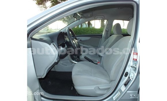 Buy Import Toyota Corolla Other Car in Import - Dubai in Barbados Buy Import Toyota Corolla Other Car in Import - Dubai in Barbados