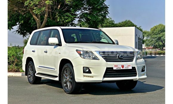 Buy Import Lexus LX White Car in Import - Dubai in Barbados