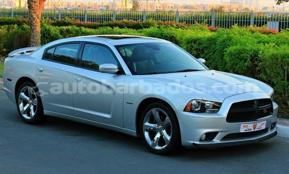 Buy Import Dodge Charger Other Car in Import - Dubai in Barbados