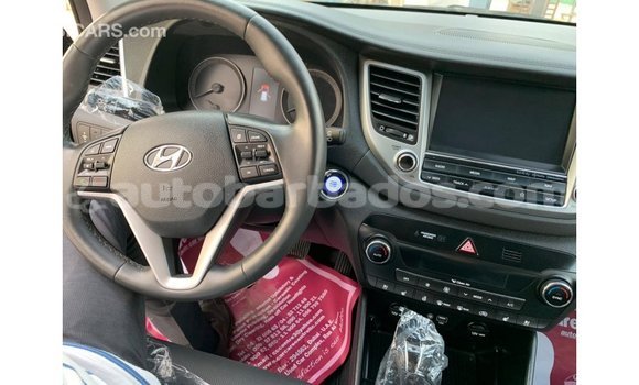 Buy Import Hyundai Tucson Other Car in Import - Dubai in Barbados Buy Import Hyundai Tucson Other Car in Import - Dubai in Barbados