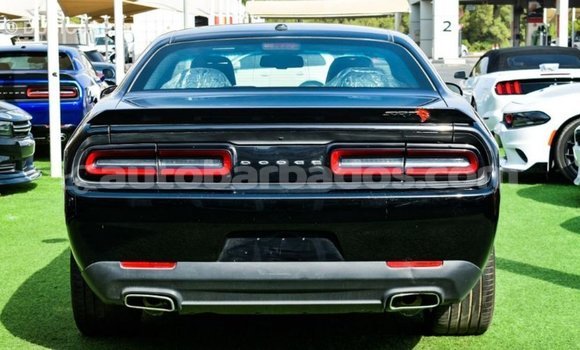 Buy Import Dodge Challenger Black Car in Import - Dubai in Barbados Buy Import Dodge Challenger Black Car in Import - Dubai in Barbados
