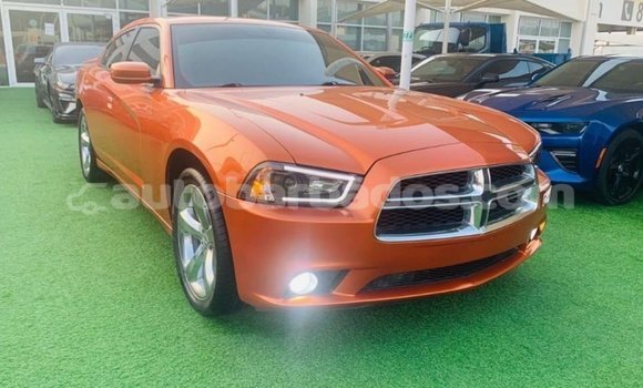 Buy Import Dodge Charger Other Car in Import - Dubai in Barbados