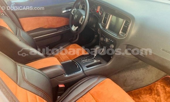 Buy Import Dodge Charger Other Car in Import - Dubai in Barbados Buy Import Dodge Charger Other Car in Import - Dubai in Barbados