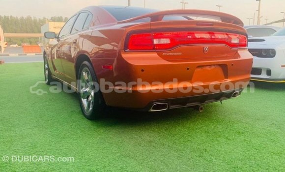 Buy Import Dodge Charger Other Car in Import - Dubai in Barbados Buy Import Dodge Charger Other Car in Import - Dubai in Barbados