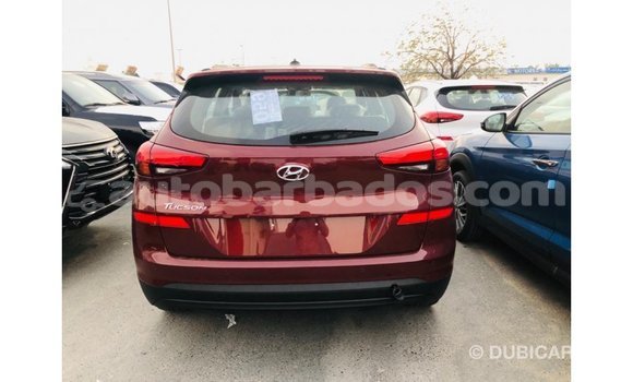 Buy Import Hyundai Tucson Other Car in Import - Dubai in Barbados Buy Import Hyundai Tucson Other Car in Import - Dubai in Barbados