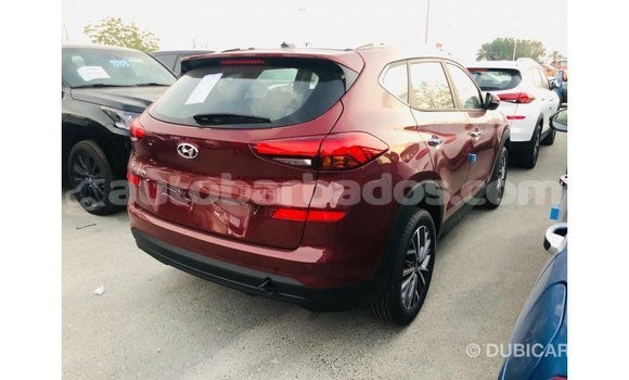 Buy Import Hyundai Tucson Other Car in Import - Dubai in Barbados Buy Import Hyundai Tucson Other Car in Import - Dubai in Barbados