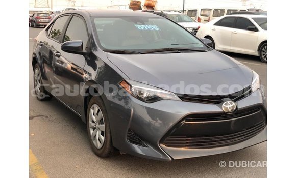 Buy Import Toyota Corolla Other Car in Import - Dubai in Barbados Buy Import Toyota Corolla Other Car in Import - Dubai in Barbados